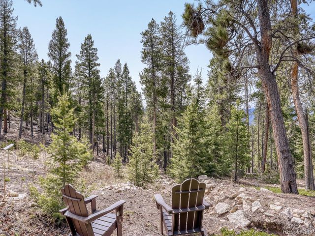 34628 Lyttle Dowdle Dr, Golden, CO 80403