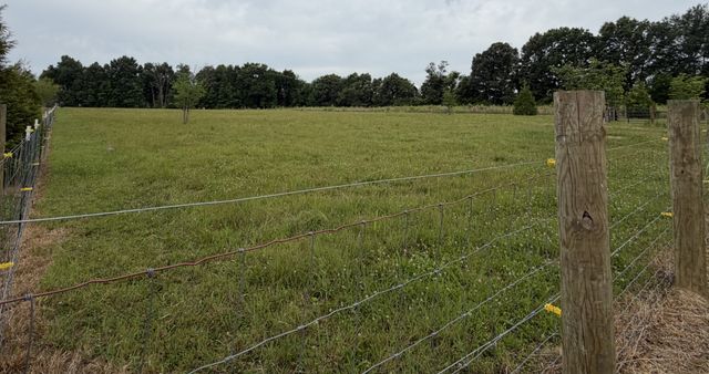 1469 Ledford Mill Rd, Normandy, TN 37360