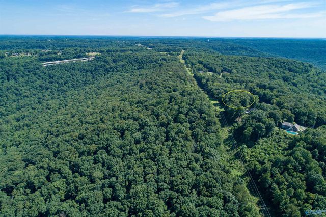 411 Bell Point Road, Laceys Spring, AL 35754