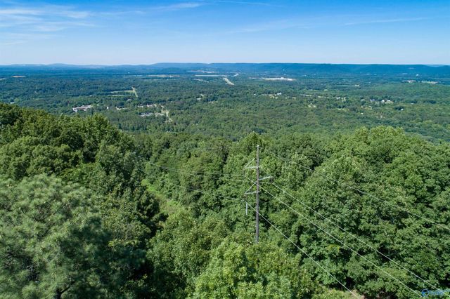 411 Bell Point Road, Laceys Spring, AL 35754