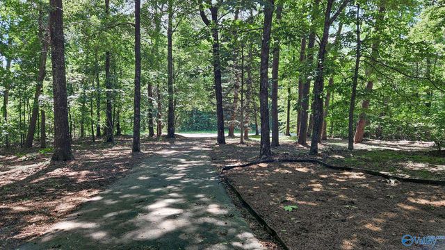 411 Bell Point Road, Laceys Spring, AL 35754