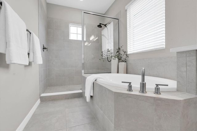 2832 LILLA TRAIL, Odessa, FL 33556