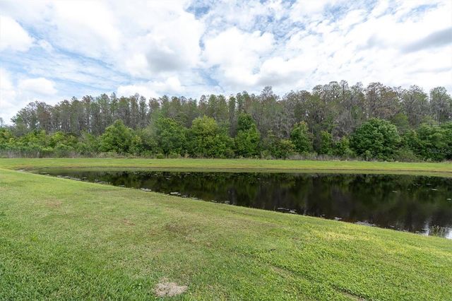 2832 LILLA TRAIL, Odessa, FL 33556