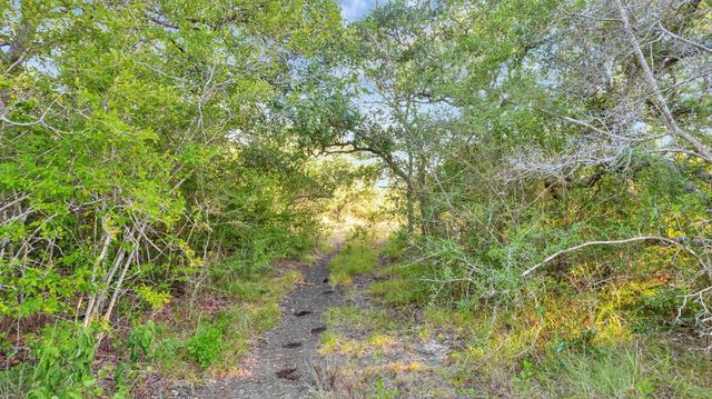 TBD Private Road 4620, Francitas, TX 77961