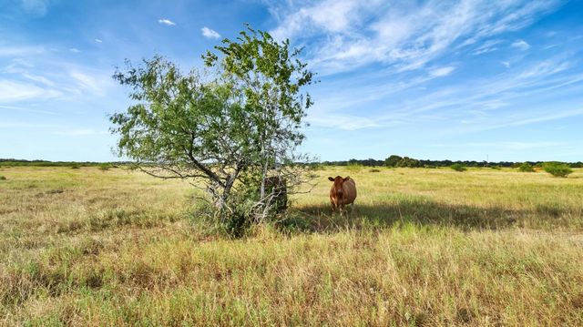 TBD Private Road 4620, Francitas, TX 77961