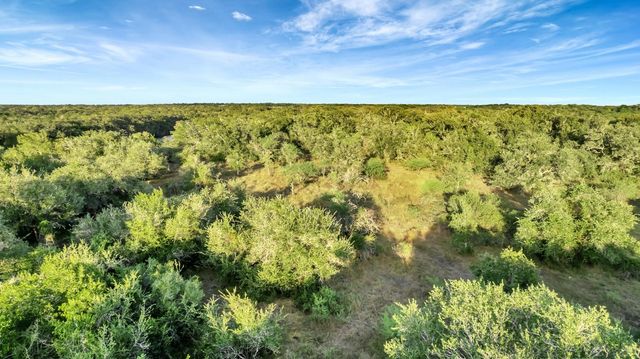 TBD Private Road 4620, Francitas, TX 77961