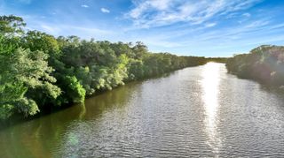 TBD Private Road 4620, Francitas, TX 77961