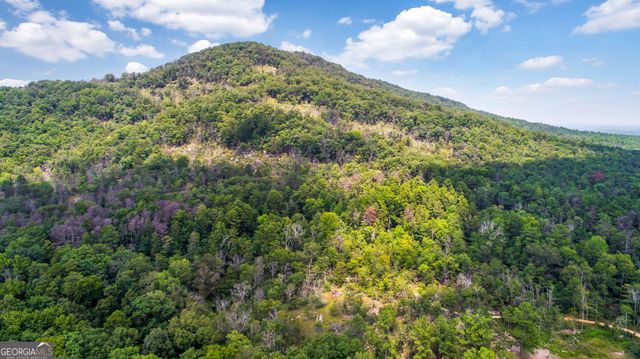 1233 Parkview Lane NW, Kennesaw, GA 30152