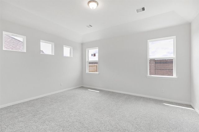 219 Brecon Buff Drive, Willis, TX 77318