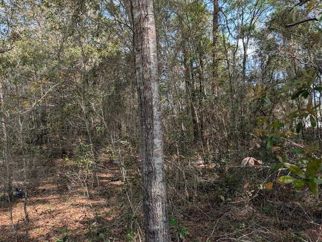 SW 30TH PLACE, Ocala, FL 34481