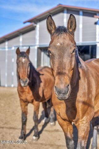 2075 Buckskin Drive, Washoe Valley, NV 89704