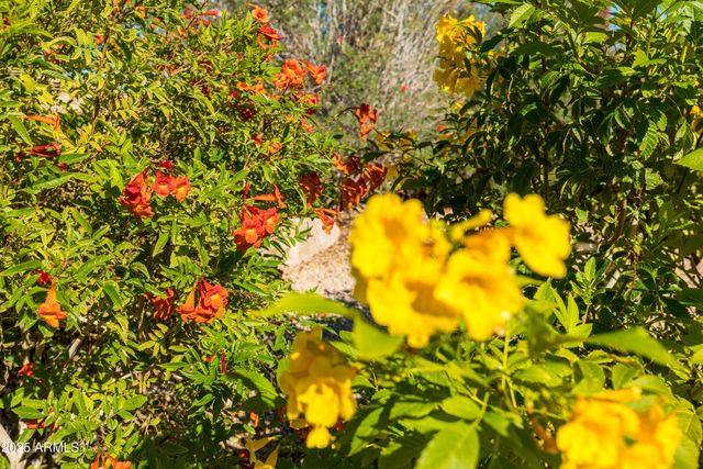 18788 E Blue Sky Drive, Rio Verde, AZ 85263