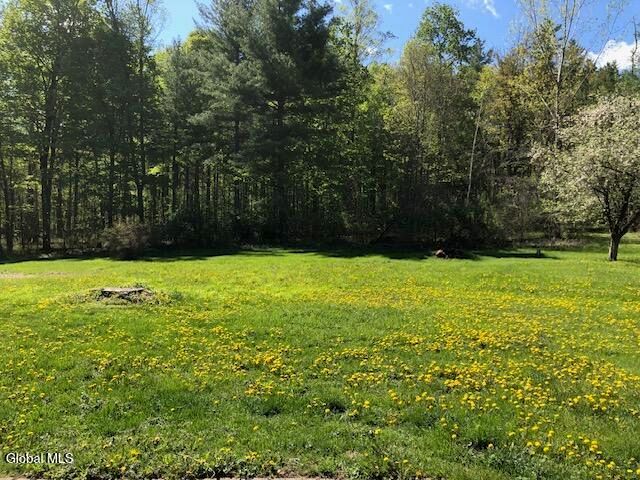 405 Bozenkill Road, Knox, NY 12009