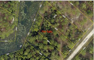 OTTER DRIVE, Webster, FL 33597