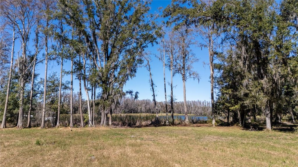 Image 12 of property listing at 4539 COBB ROAD, Land O Lakes, FL 34638