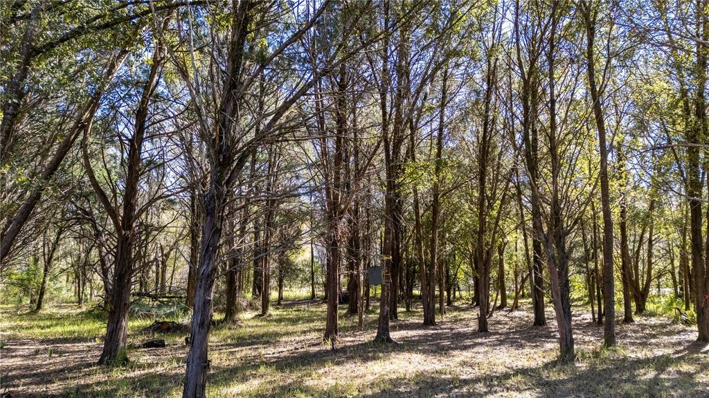 Image 14 of property listing at 4539 COBB ROAD, Land O Lakes, FL 34638