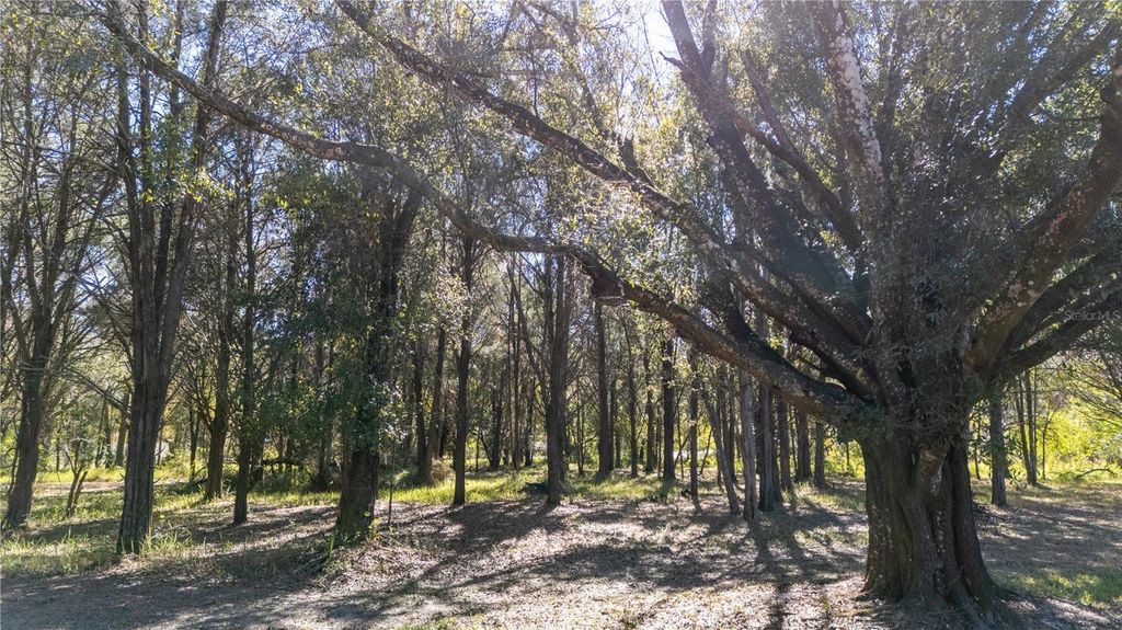 Image 15 of property listing at 4539 COBB ROAD, Land O Lakes, FL 34638