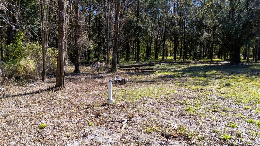 Image 18 of property listing at 4539 COBB ROAD, Land O Lakes, FL 34638