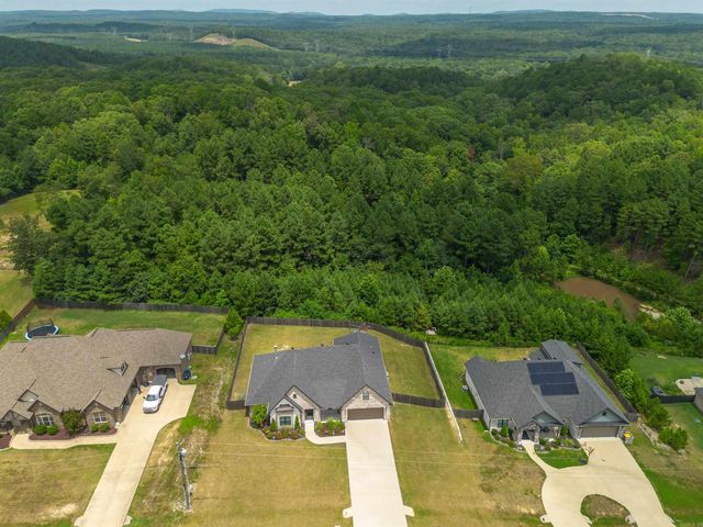 9096 Stone Canyon Drive, Bryant, AR 72002