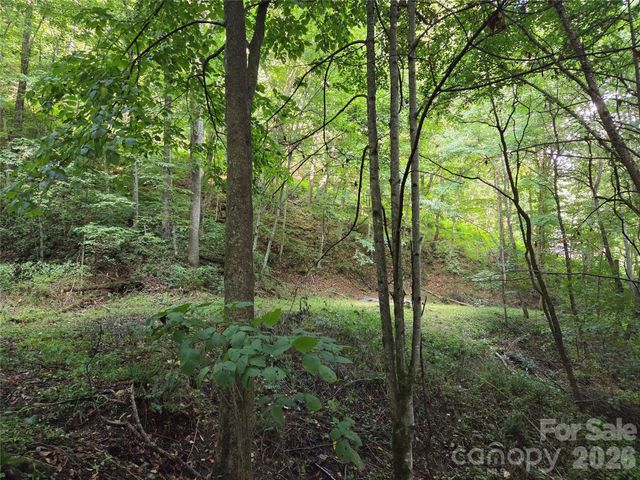 00 Creekside Drive, Maggie Valley, NC 28751