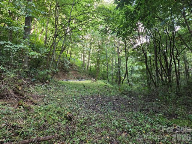 00 Creekside Drive, Maggie Valley, NC 28751