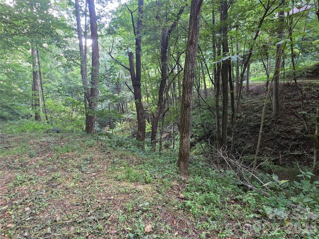 00 Creekside Drive, Maggie Valley, NC 28751