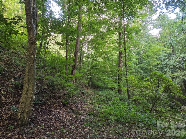 00 Creekside Drive, Maggie Valley, NC 28751