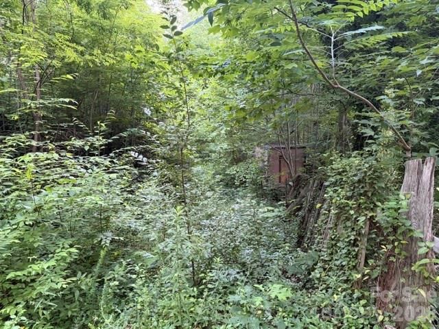 00 Heavenly View Drive, Sylva, NC 28779