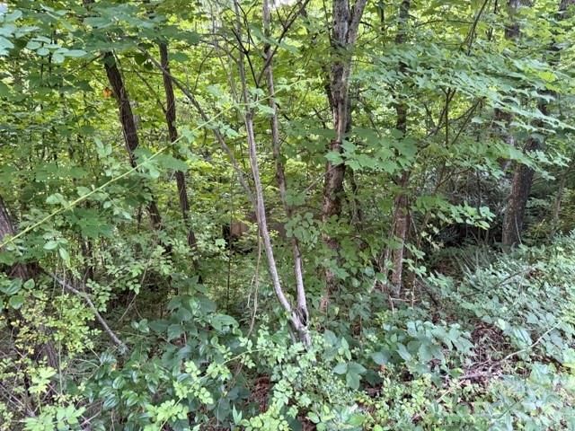 00 Heavenly View Drive, Sylva, NC 28779