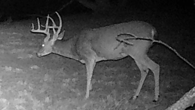 12014 B S FM 600, Abilene, TX 79601