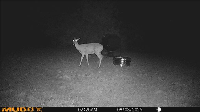 12014 B S FM 600, Abilene, TX 79601