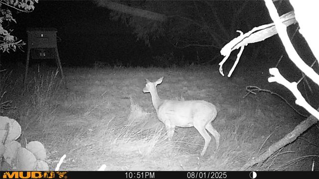 12014 B S FM 600, Abilene, TX 79601