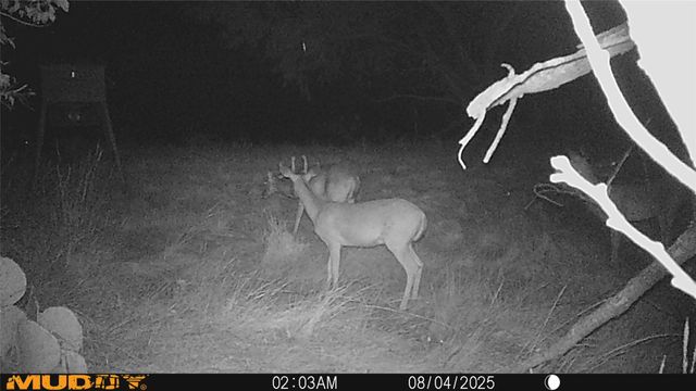 12014 B S FM 600, Abilene, TX 79601