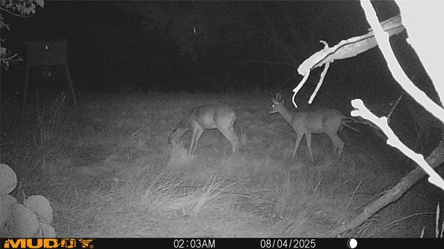 12014 B S FM 600, Abilene, TX 79601