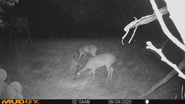 12014 B S FM 600, Abilene, TX 79601