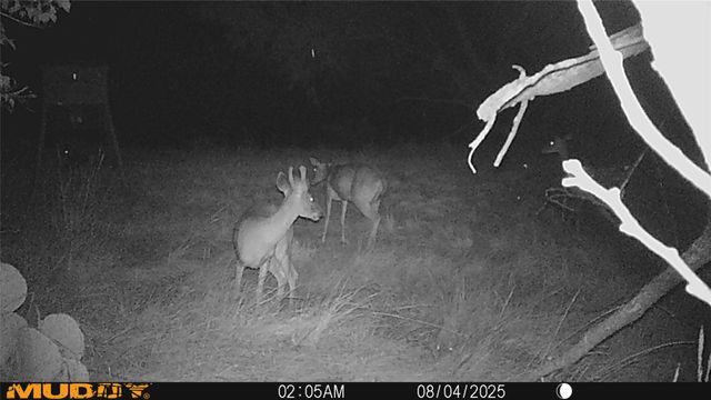 12014 B S FM 600, Abilene, TX 79601