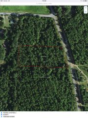 Lot 11 County Road 53, Abbeville, AL 36310