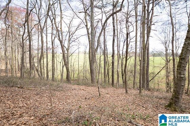 31040 HIGHWAY 48, Graham, AL 36263