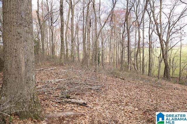 31040 HIGHWAY 48, Graham, AL 36263