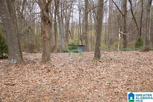 31040 HIGHWAY 48, Graham, AL 36263