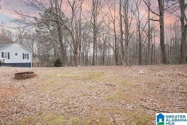 31040 HIGHWAY 48, Graham, AL 36263