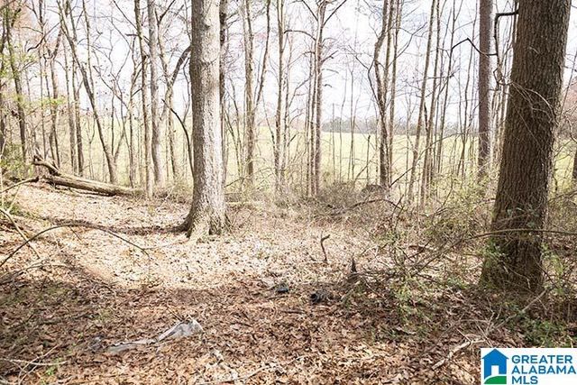 31040 HIGHWAY 48, Graham, AL 36263