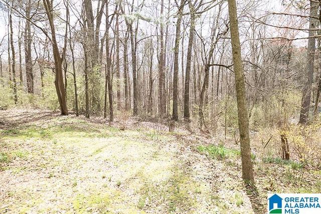 31040 HIGHWAY 48, Graham, AL 36263