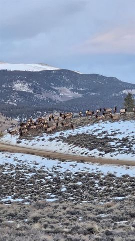 404 Quartz Drive, Leadville, CO 80461