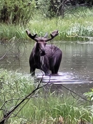 404 Quartz Drive, Leadville, CO 80461