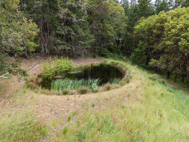 4046 Little Applegate Road, Jacksonville, OR 97530