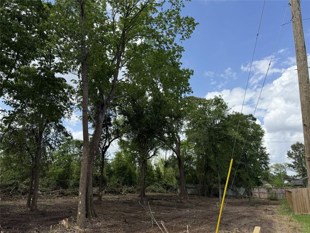 8003 Bigwood Street, Houston, TX 77078