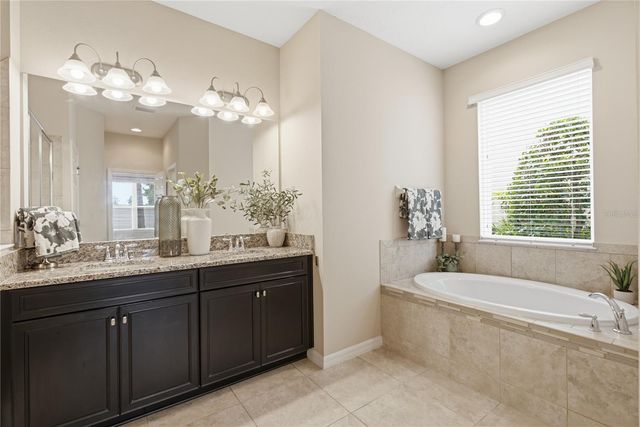 9167 BELLA VITA CIRCLE, Land O Lakes, FL 34637