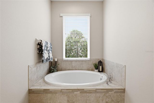 9167 BELLA VITA CIRCLE, Land O Lakes, FL 34637