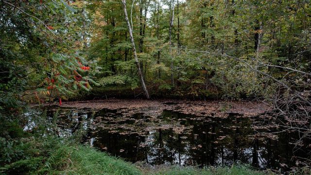 2180 BLUEJAY LANE, Kronenwetter, WI 54476